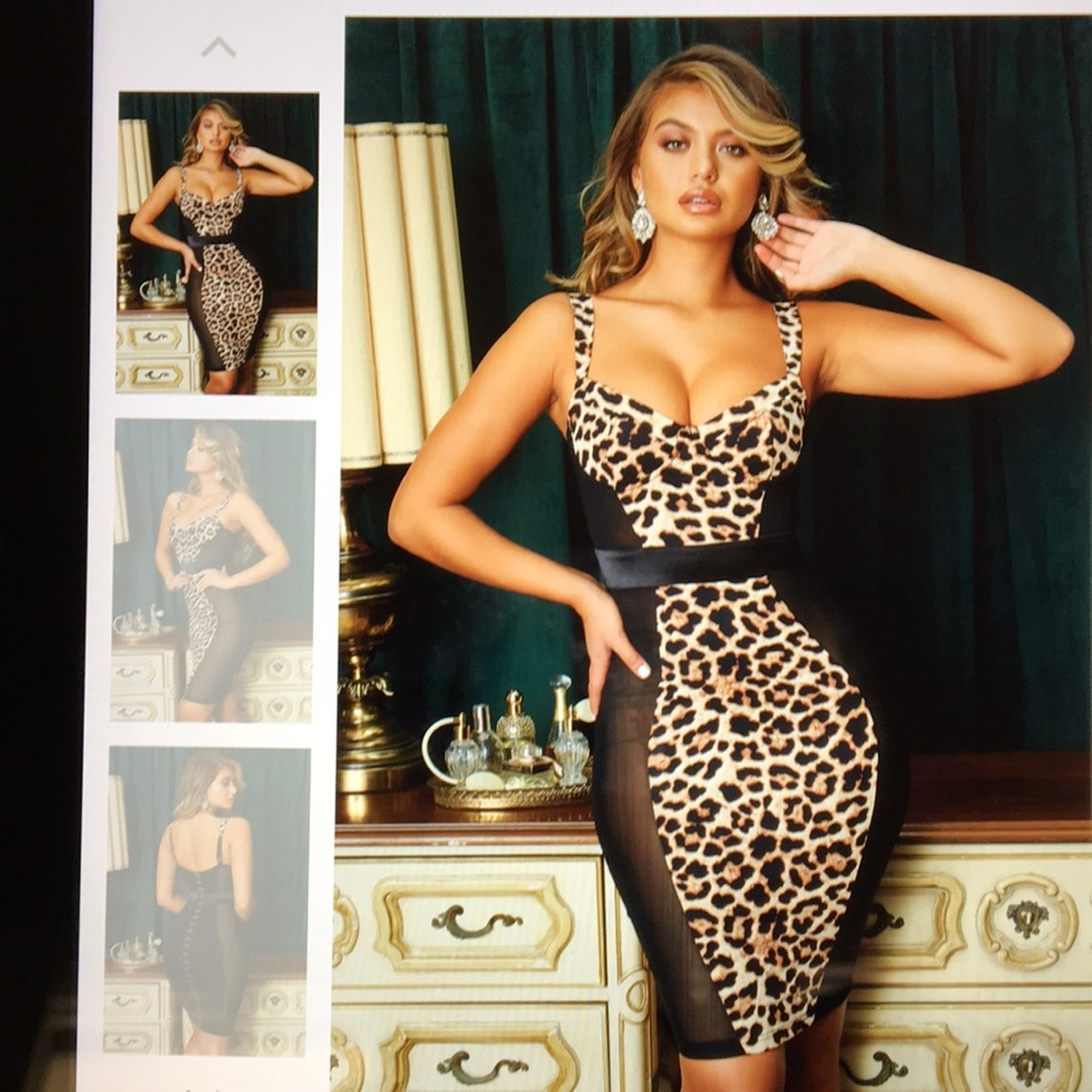 Sleeveless Leopard print underwired mesh dress
